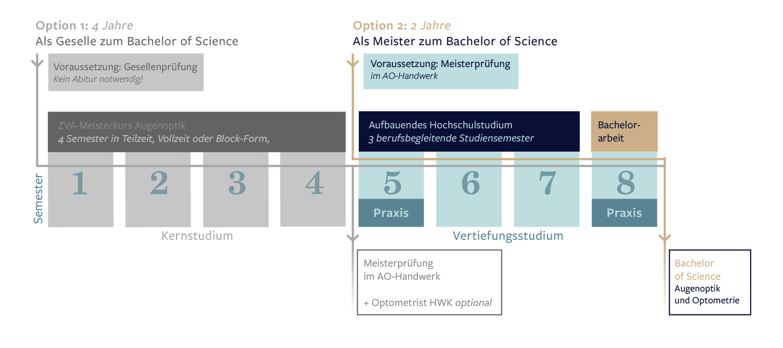 Aufbau & Module des Augenoptik Studiums — Akademie der Augenoptik
